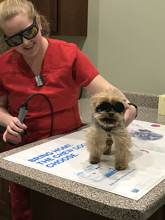 Mann Veterinary Hospital Owens Cross Roads, AL 35763 > Our Services